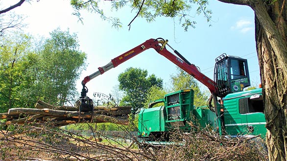 applicazioni forestale
